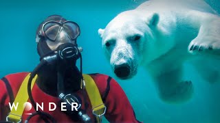 Explorers vs. The Arctic: Surviving the Most Inhospitable Place