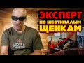 Эксперт, Кинолог Александр Зубов про ШЕСТИПАЛОГО щенка. Западносибирская Лайка, высокопородные щенки