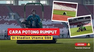 Proses Pemotongan Rumput di Lapangan Sepak Bola Stadion Utama Gelora Bung Karno, Senayan, Jakarta