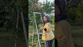 Bahçeme Geldim☺️☺️ Öy Öyhayatı Çe