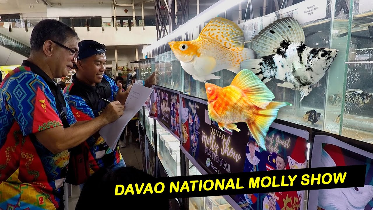 Davao National Molly Show