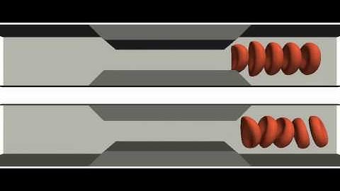 Simulation of red blood cells in confined geometry