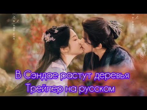 В Сэндае растут деревья 🌳 трейлер на русском Дэн Вэй и Син Хань Чжи