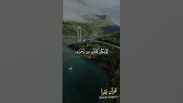 والله غفور رحيم #سورة_الحديد #القرآن_الكريم #فارس_عباد #اكسبلور #راحة_نفسية #لايك #تلاوة_خاشعة