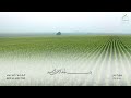 36 سورة يس القارئ أحمد ديبان