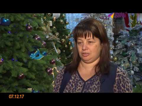 Как выбрать сосну к Новому году