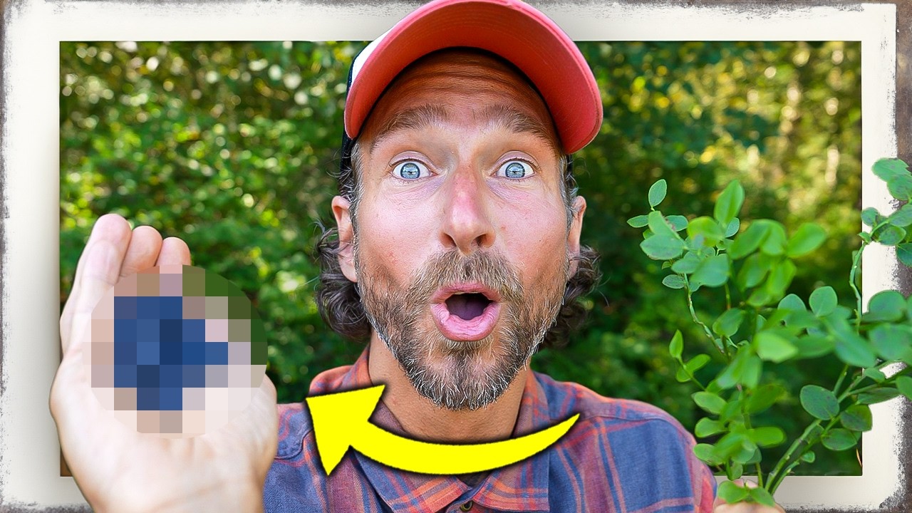 Sofort mehr Sehkraft: So lassen dich Blaubeeren BESSER SEHEN! 👀