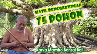 WOOOOWWWW ‍‍‍KARYANYA TAMPIL DI MAJALAH BONSAI FOKUS DI BELANDA || Bpk. Gede Merta