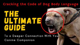 #dogsvideos Unlocking the Secrets of Dog Body Language#gestures #signals #behaviors #posture #bonds by BreedSpot - Spotting the best dog breeds 152 views 6 months ago 22 minutes