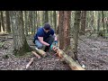 Building BUSHCRAFT shelter - Laavu | 5 days in Wilderness | Bushcraft skills