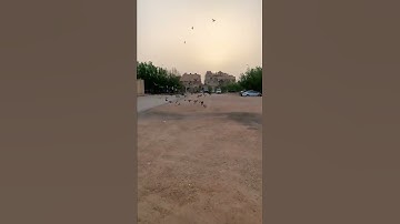 تلاوة القران صوت جميل جدا ما تيسر من سورة الذاريات