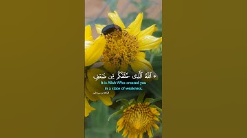 آيات بينات من الذكر الحكيم بصوت رائع جدا ❤ #القرآن_الكريم #اكسبلور #المصحف #لايك