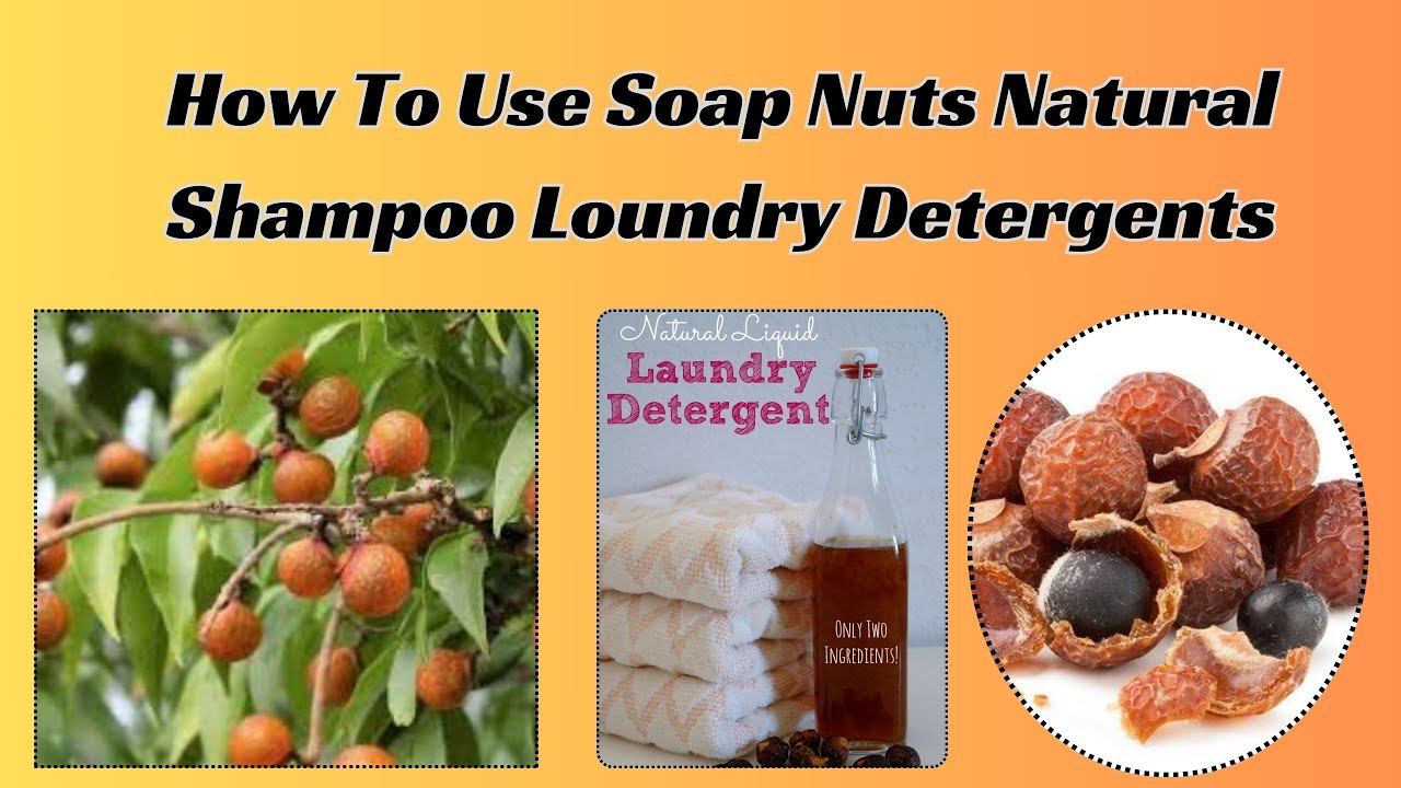How To Use Soap Nuts Natural Shampoo Loundry Detergents - YouTube