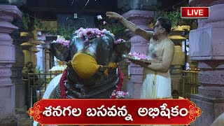 02-07-2020 || Shenagala Basavanna Abhishekam at Srisaila Devasthanam || Srisaila Tv || Srisailam