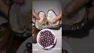 Havest Pearls From Freshwater Oyster #Shorts