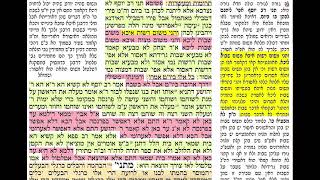 דף יומי מסכת ביצה דף לז Daf yomi Beitzah daf 37 שמואל נבון