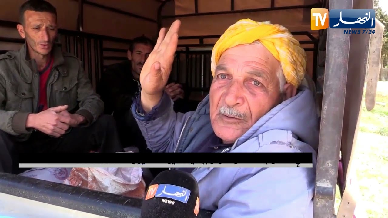 غليزان: سيارة 