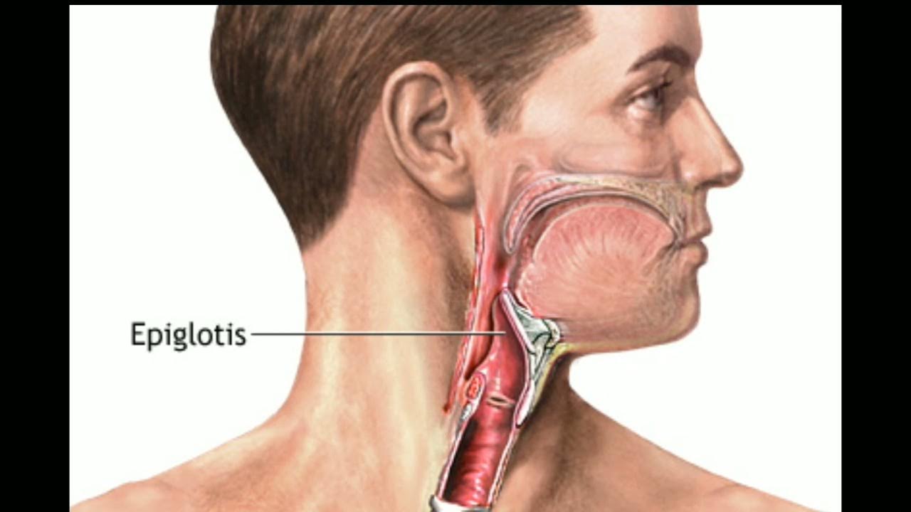 механическая гортань