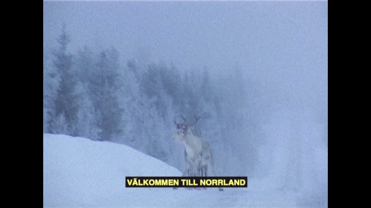 brev från kolonien ackord brev från kolonien ackord