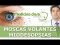 Moscas volantes ó Miodesopsias - Problemas de visión