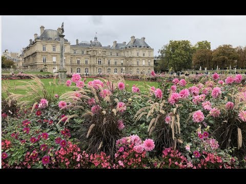 Vídeo: Jardinagem Vertical Em Paris: Uma Nova Solução