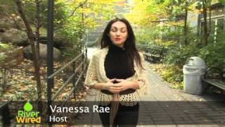 Vanessa Rae Reporting Reel
