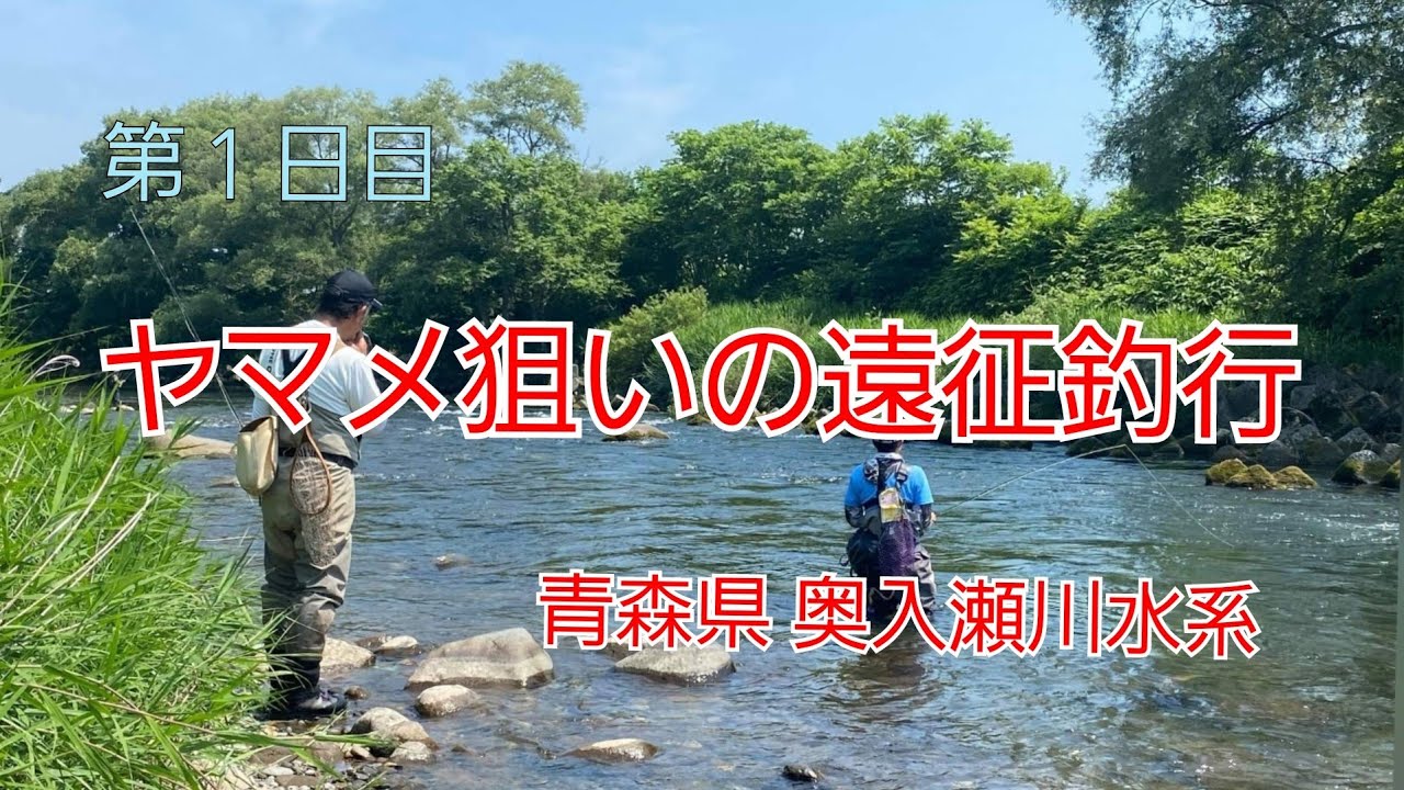 ヤマメ狙いの遠征釣行 第1日目 7月の釣り 渓流(フライフィッシング) 奥