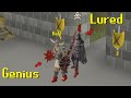 Lured for full torva by a pretend noob