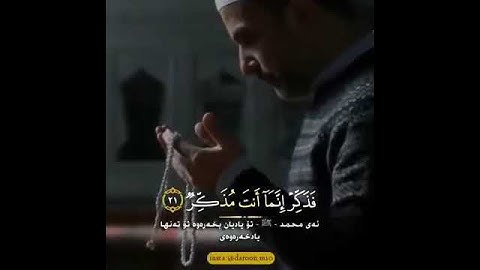 تلاوات خاشعه أفلا ينظرون إلى الإبل كيف خلقت /أجمل التلاوات المميزة لشيخ خالد الجليل حالات واتس ديني