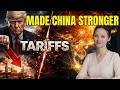 Why US Tariffs Made China's Manufacturing STRONGER (The Economic Paradox Explained)