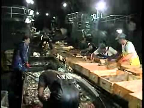 海人　そこに生きる男達　Part8