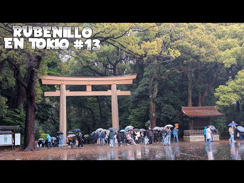 VAMOS AL JARDIN IMPERIAL SANTUARIO MEIJI