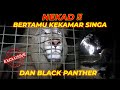 EKSLUSIF !!! TENGAH MALEM HAMPIR DISERANG BLACK PANTHER !!!