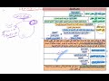 نسب الربحية تحليل النشاط التدفقات القيمة تحليل القوائم المالية الفرقة الرابعة نسب الربحية تحليل النشاط التدفقات القيمة تحليل القوائم المالية الفرقة الرابعة