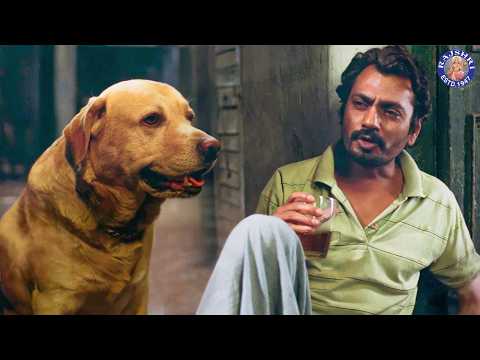 दारू पीकर कुत्ते के साथ बात करता है | Nawazuddin Siddiqui Drinking Scene | Sniffer Movie Scene