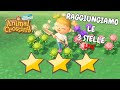 RAGGIUNGIAMO LE 3 STELLE SU CLAYLAND?ANIMAL CROSSING NEW HORIZONS