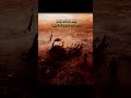 Motivational quotes || #shortvideo #motivation