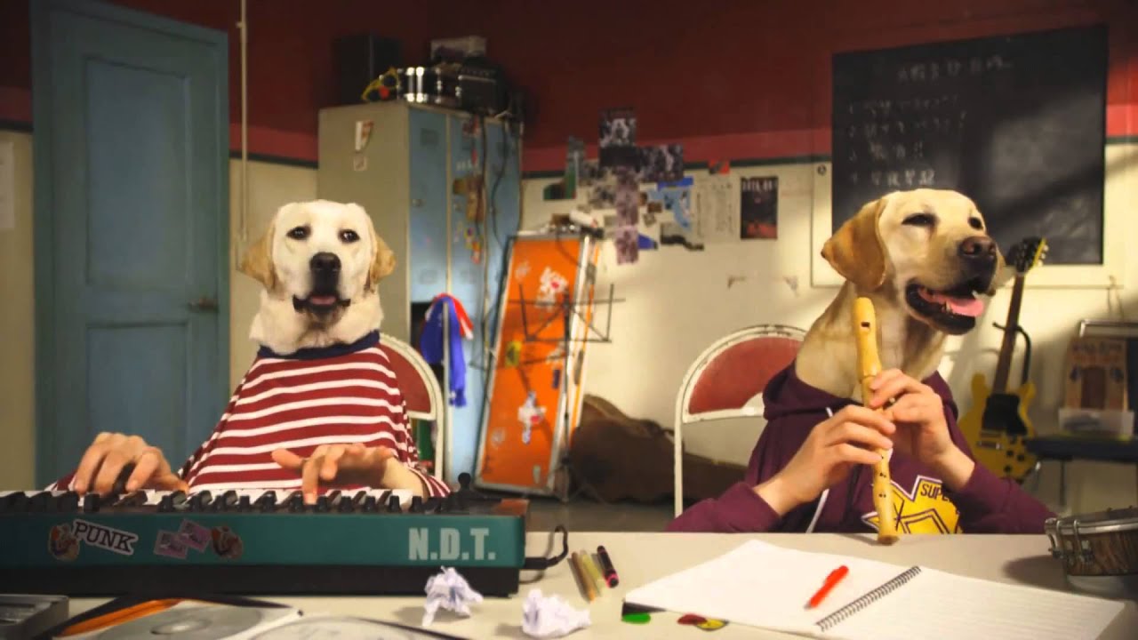 Dog Puppet Theater Nisshinbo YouTube