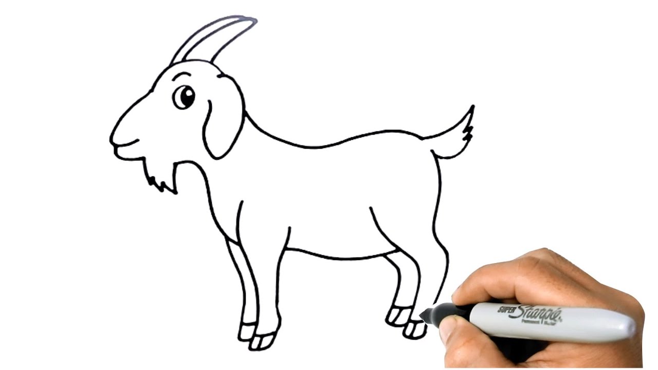 How to DRAW a GOAT Easy Step by Step Animal Farm Drawing  YouTube