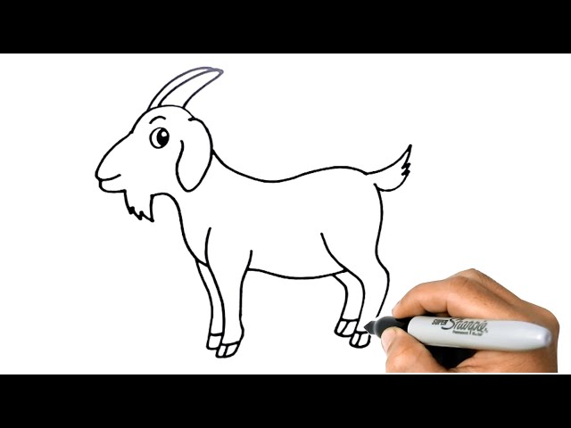 Goat Drawing Ideas - Drawing Photos
