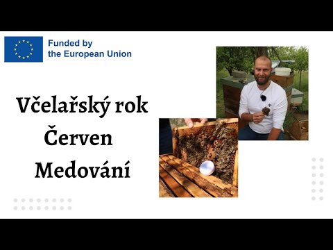 Video: Rozdíl Mezi Surovým Medem A Medem