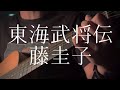 藤圭子／東海武将伝 【弾き語りカバー】