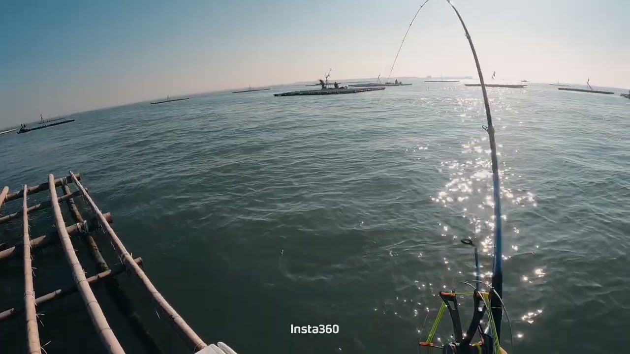 黑格大咬總在跟我不同天😱😱