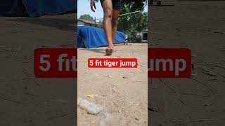 5 fit tiger jump