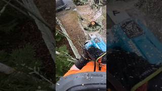 Makita DUC254Z 🌳🪚🪵 #puunkaato #metsuri #makita #puujaurakointi