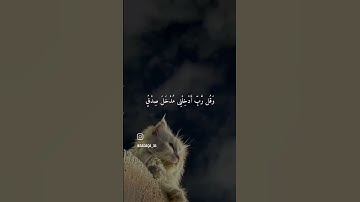 #القارئ_احمد_العجمي #تلاوة_خاشعة #الامارات #السعودية #قرآن_كريم #منوعات_إسلامية1 #صدقة #عمان #المغرب