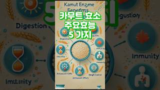 카무트효소 효능 5가지 #카무트 추천상품 &#39;설명&#39; 참조(화면 길게 누르기)