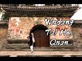 Wudang tai he quan 