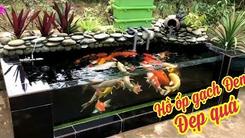 Hồ Cá Koi 1,7 Khối Ốp Gạch Men Rất Đẹp - Bộ Lọc 4 Ngăn Xài Tổng Bơm 15000l/h.Hồ E Hưng Ở Sơn La.