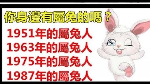 属兔人2023年的运势运程，你身边有属兔的人吗？| 星座生肖 - 天天要闻